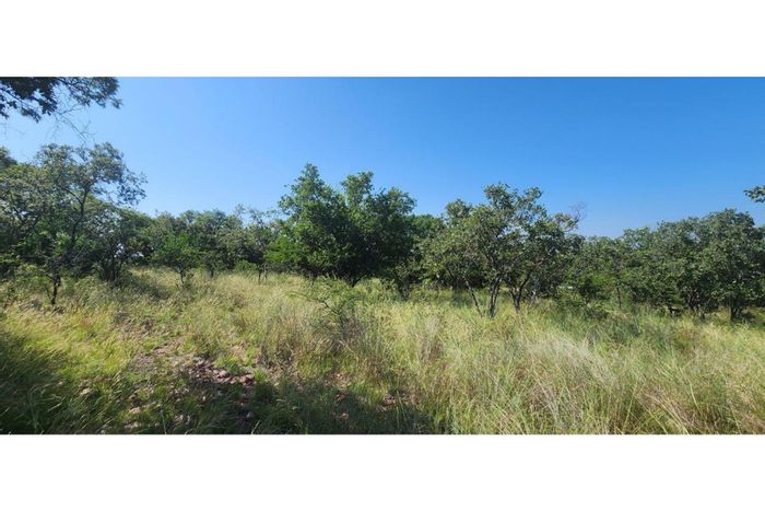Vacant land for sale in Intaba-Indle Wilderness Estate with diverse wildlife access.
