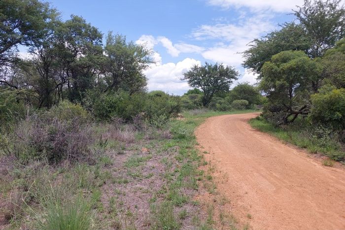 Ditholo Wildlife Estate: For Sale, 6657m² Vacant Land with game viewing access.