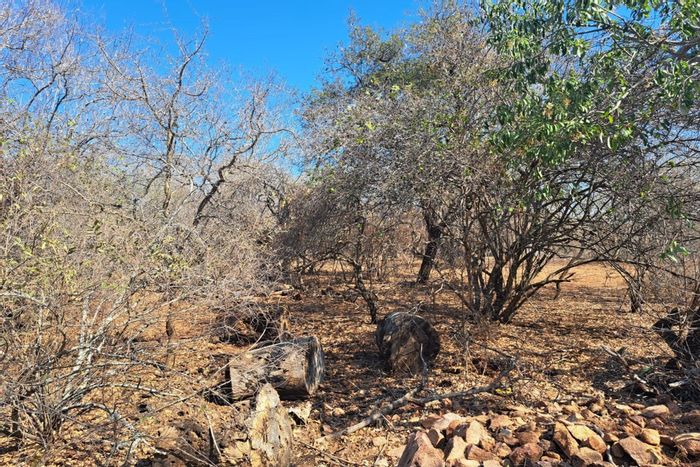 Vacant Land Residential For Sale in Marloth Park Central, 1536 m² with forest views.