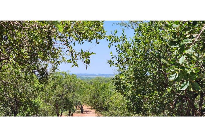 Vacant Land Residential in Bela Bela Rural - 10,000m² with scenic views and trees.