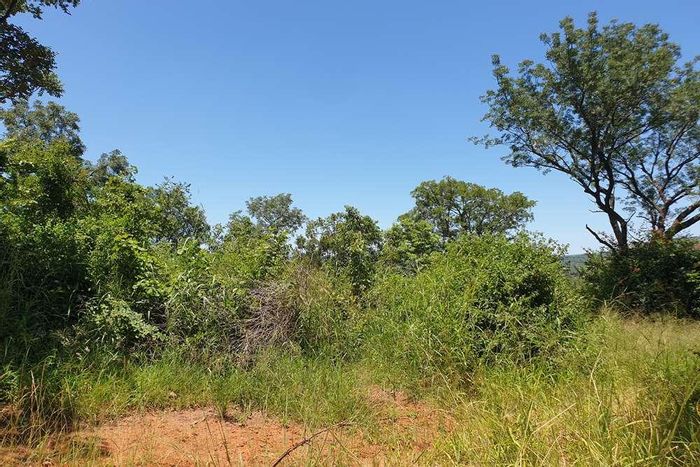 58 ha undeveloped farm in Tzaneen Rural, ideal for mango or macadamia farming. For Sale.