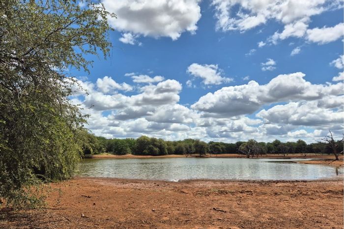 Farm for Sale in Musina Central: Game farm with lodge, landing strip, and solar power.