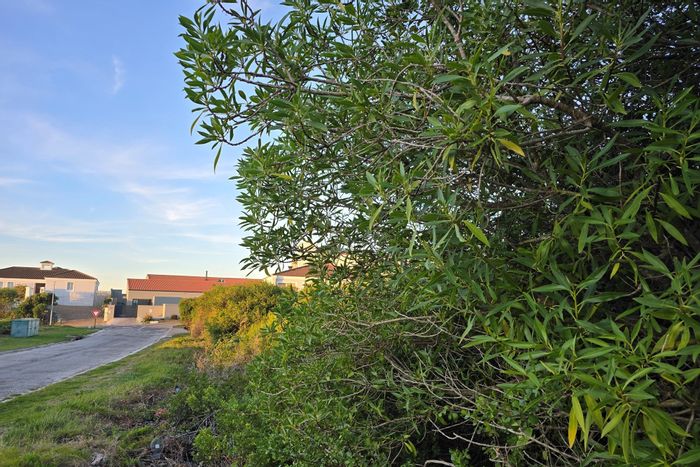 Vacant Land Residential for Sale in St Francis On Sea - 671m2 with sea views.