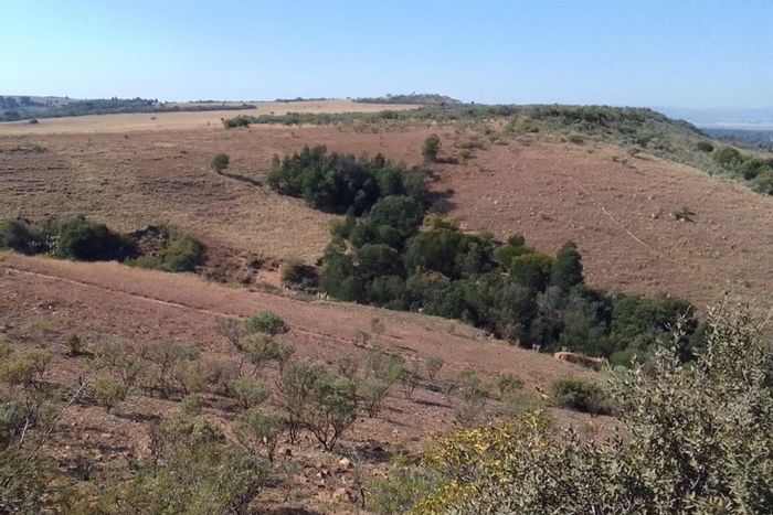 For Sale: 251 Hectares Farm in Walker Fruit Farms, ideal for investment and subdivision.