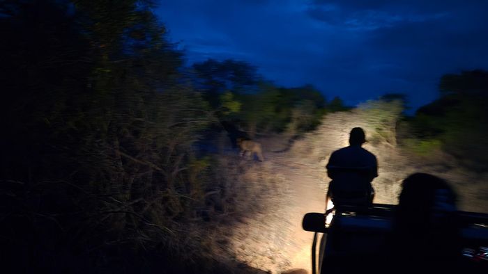 Vacant Land Residential in Moditlo Nature Reserve, for sale with riverbed access.