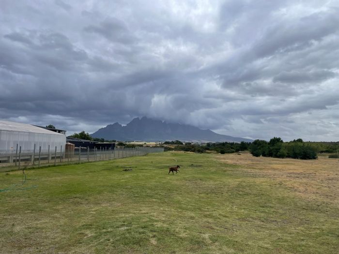 For Sale: Farm in Franschhoek Rural with riverside location, commercial potential, and rental income.