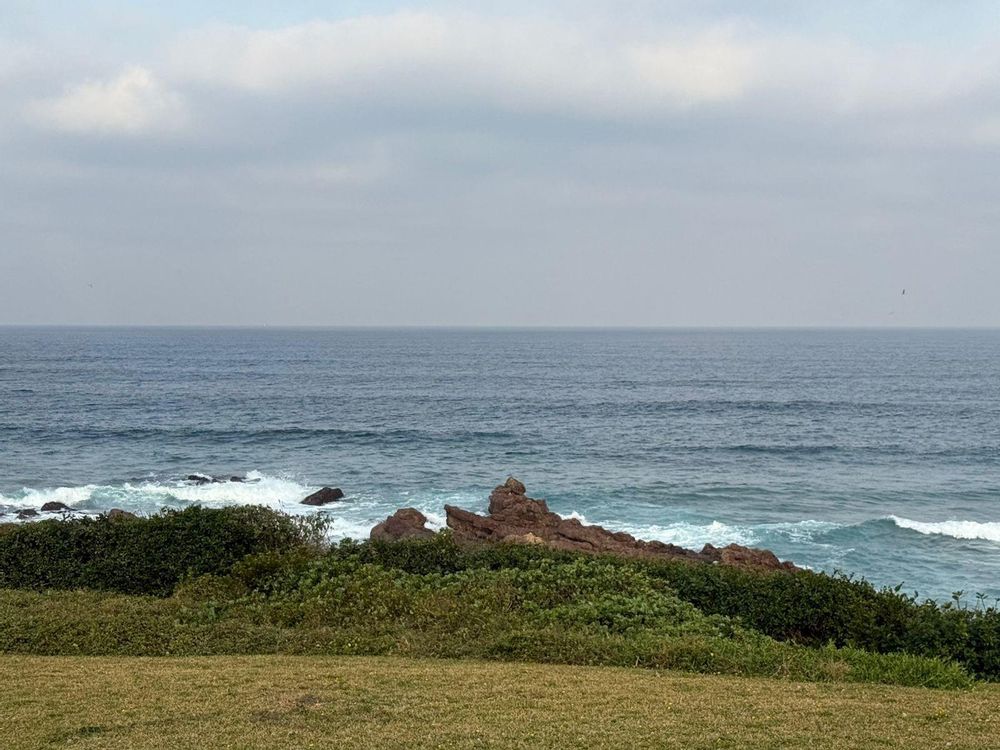 View from most units