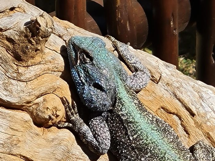 Vacant Land Residential in Kranspoort For Sale: Secure eco estate, 24-hour access.