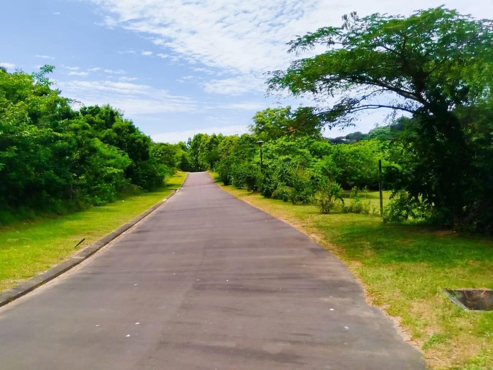 Well Maintained Roads