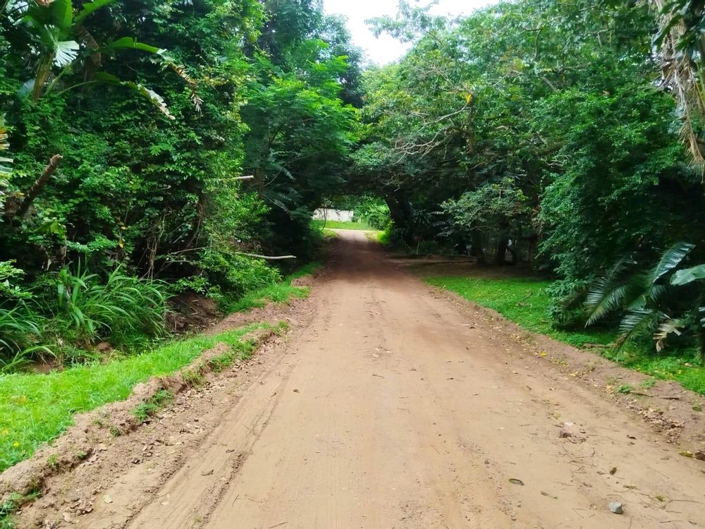 Gravel road infront of erf