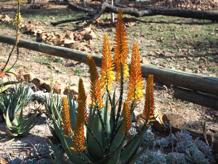 Vacant land for sale in Kranspoort, secure community with mountain views.