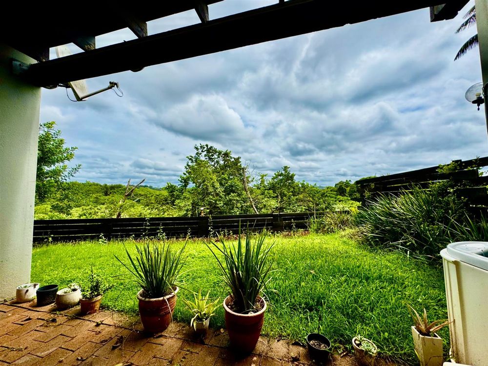 Views on ground level