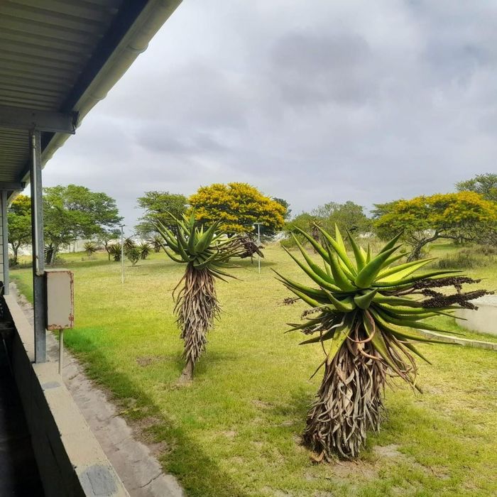 Bathurst Rural Small Holding For Sale: 2-bed home, borehole, solar power, fish pond.