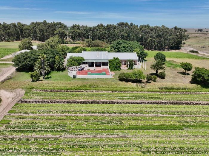Klapmuts Farm For Sale: Intensive farming, cold storage, housing, and irrigation included.
