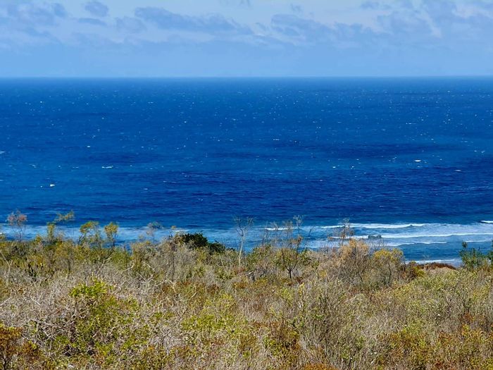 Nautilus Bay For Sale: Vacant Land Residential with ocean views and secure estate access.