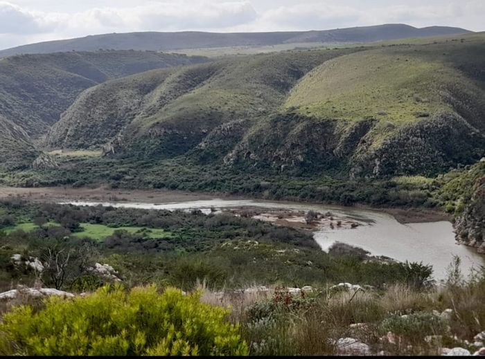 Riverfront farm for sale in Albertinia Central with diverse income opportunities.