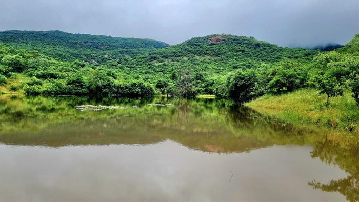 Nelspruit Rural Farm For Sale: Eco reserve with lodge, diverse wildlife, and airstrip.