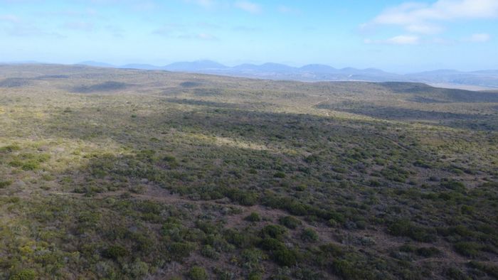 605 Ha Fynbos Farm For Sale in Gouritsmond Central - Livestock, bee-keeping, water rights.