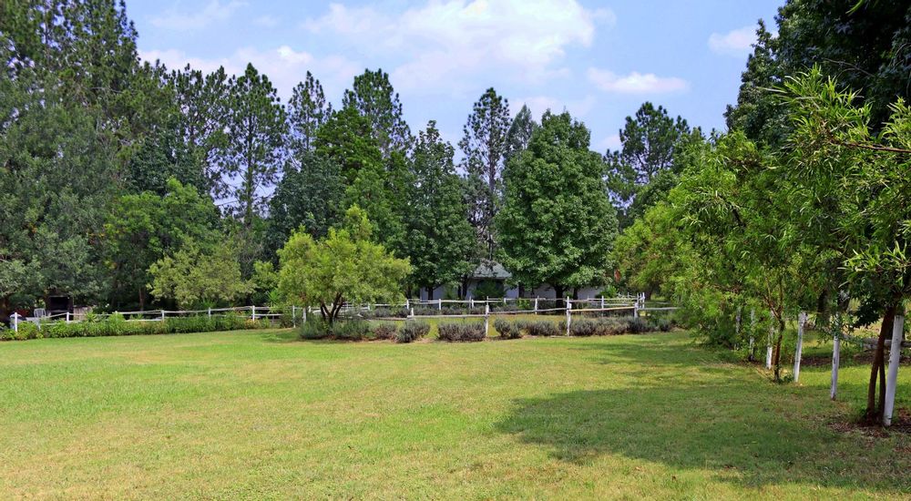 Lunge arena and cottage 4