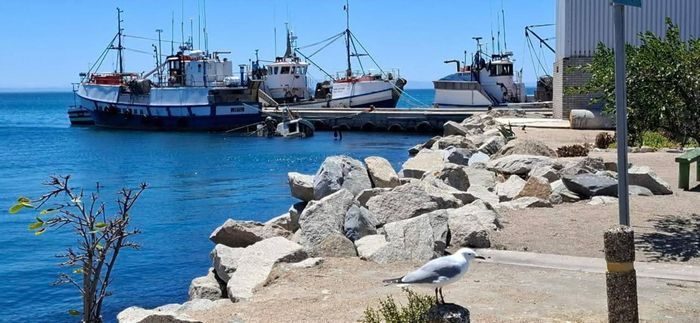 For Sale: House in Da Gama Bay with garden, balconies, and energy-efficient features.