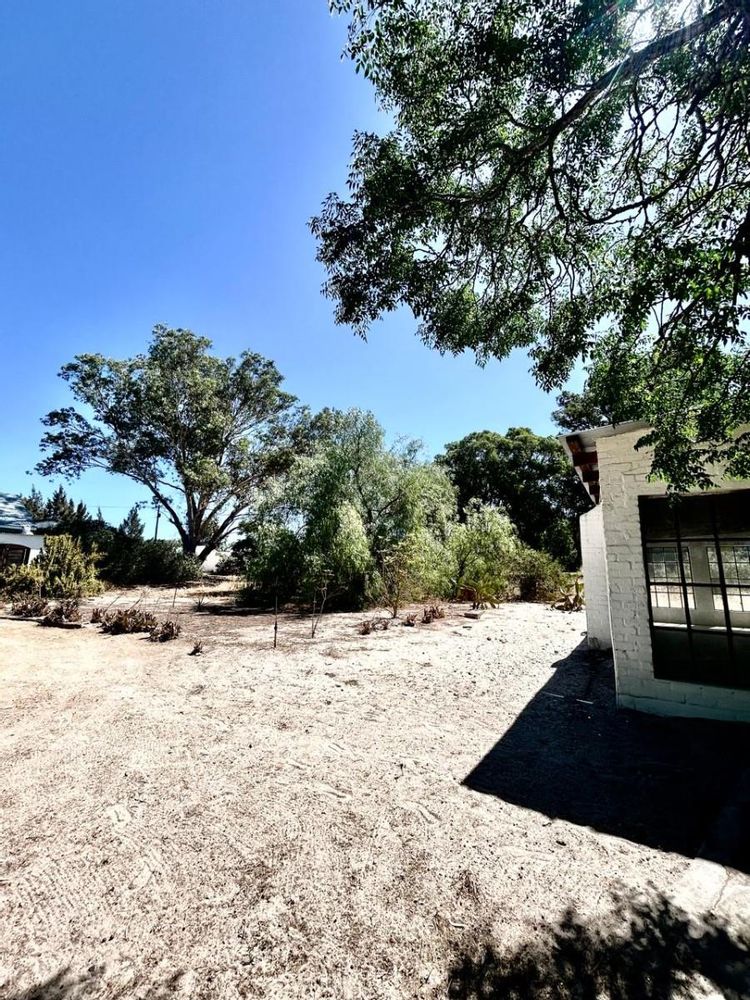 Garden surrounding Studio