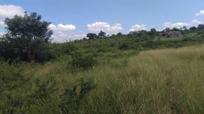 For Sale: 10,000 m² farm in Thohoyandou Rural, ideal for agriculture or development.