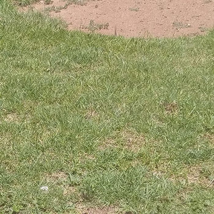 Vacant Institutional Land for Sale in Duvha Park - 5,200 m2 Development Potential.