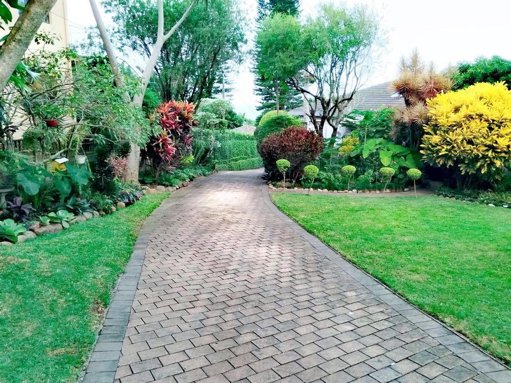 Driveway