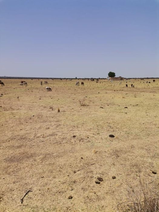 Vacant Land Residential in Brits Rural For Sale: Water, electricity, flat land, prime location.