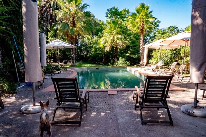 Historic Hopefield Central House For Sale: 8 bedrooms, guest-ready barn, serene gardens.