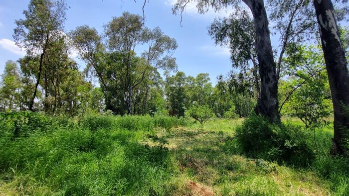 Vacant Land Residential For Sale in Benoni AH - 9000 m², ideal for your vision.