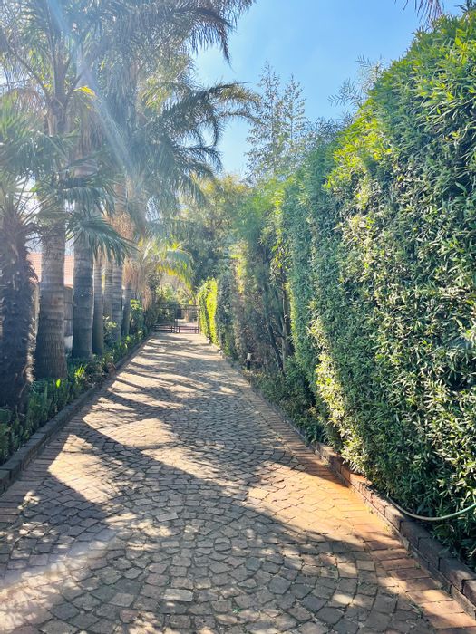 House To Rent in Esther Park: 3 Bedrooms, 2 Bathrooms, ample parking, spacious yard.