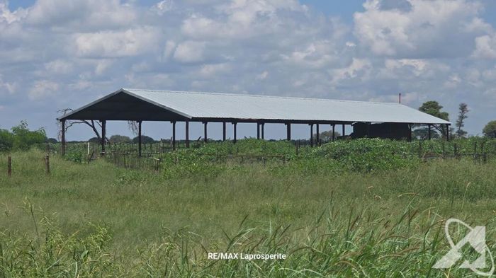 For Sale: 1,000-hectare farm in Grootfontein Central with multiple dwellings and irrigation.
