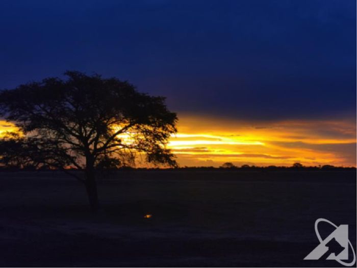 For Sale: 4,700ha farm in Grootfontein Central with diverse crops and livestock.