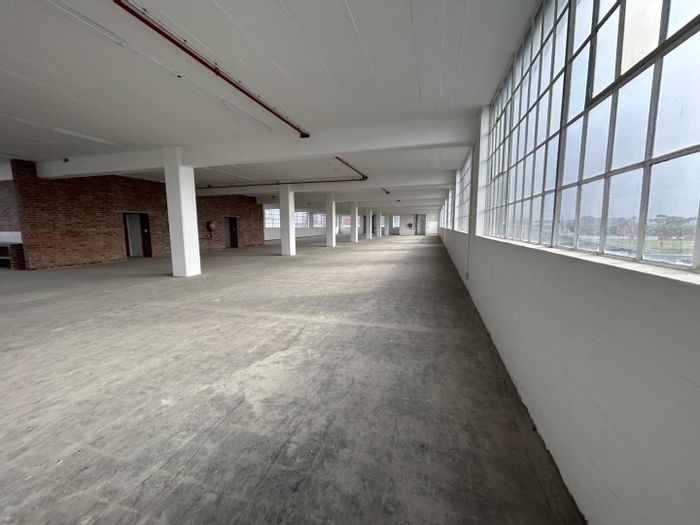 Prime Industrial Space in Diep River: High Exposure, Ample Parking, Easy Access