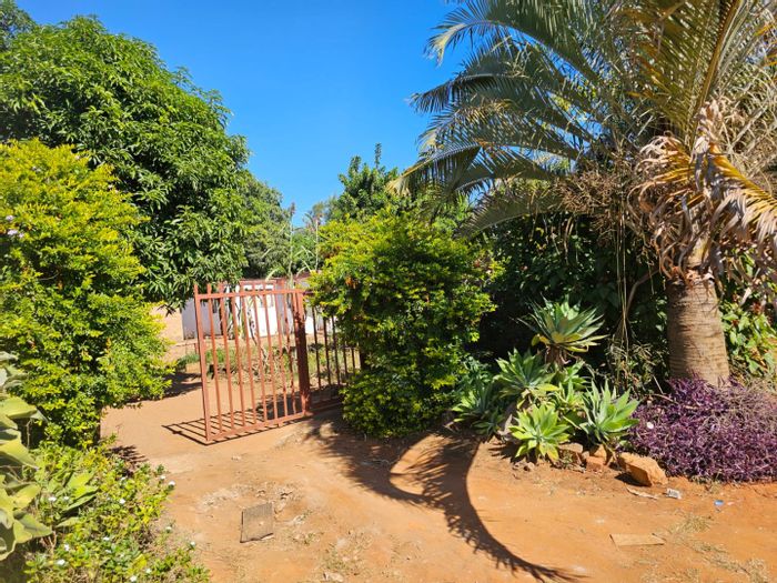 Thohoyandou House For Sale: 3 beds, 2 baths, large yard, near tarred road.