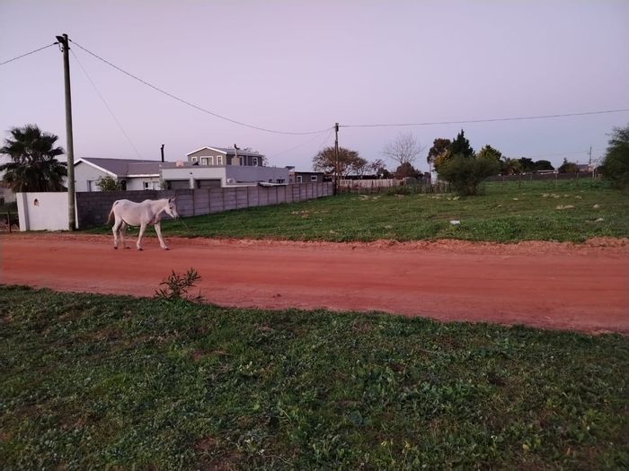 Vacant Land Residential in Chatsworth: 991sqm with approved plans, For Sale.