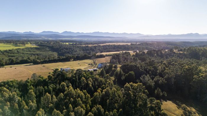 Plettenberg Bay Rural Farm For Sale: 43ha, grazing land, multiple dwellings, agri-tourism potential.