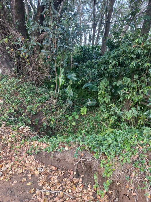 Vacant Land Residential For Sale in Palm Beach - 2187 m², ideal for dream home.