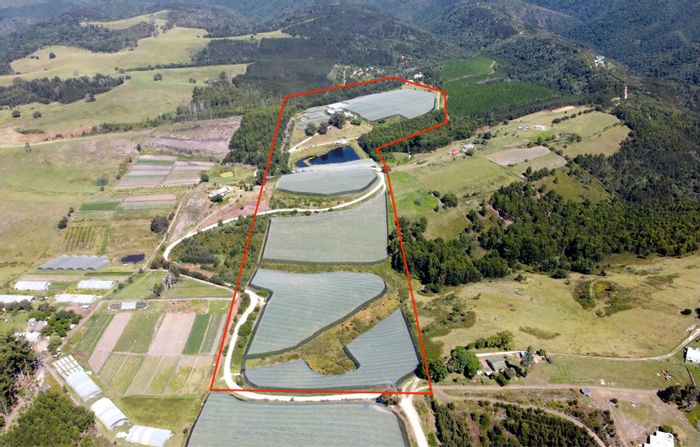 Sedgefield Rural Farm For Sale: 15ha with irrigation, storage, and water rights.