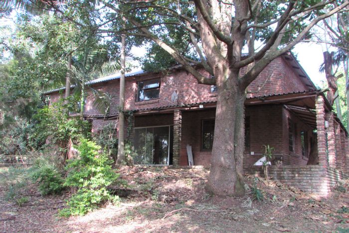 House For Sale in White River AH: 4 Bedrooms, Pool, 1.9-Hectare Smallholding.