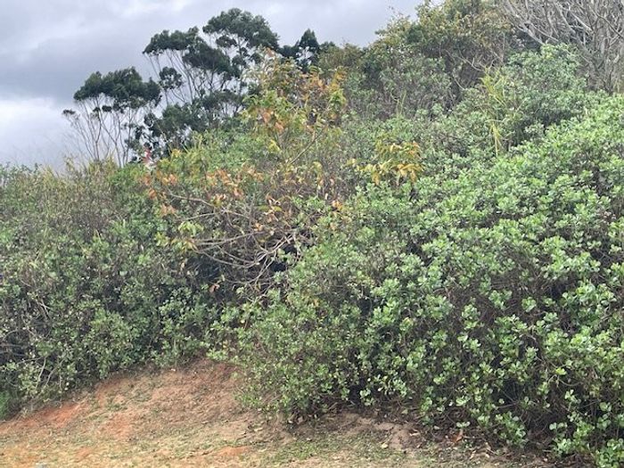 Vacant Land Residential in Sea Park: Secure estate, close to beach and amenities.