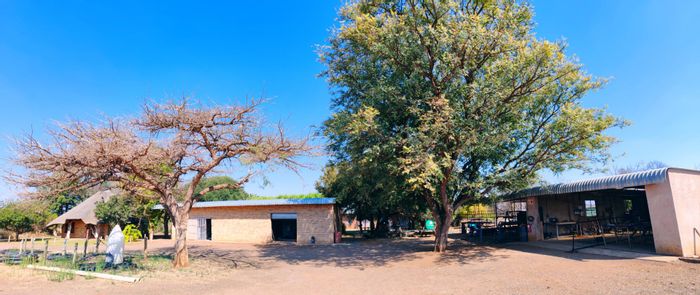 Farm for Sale in Bela Bela Central: Business rights, workshop, and ample water supply.