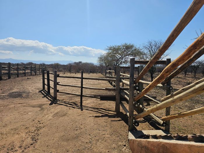 For Sale: 444-Hectare Farm in Louis Trichardt Central with water supply and livestock facilities.