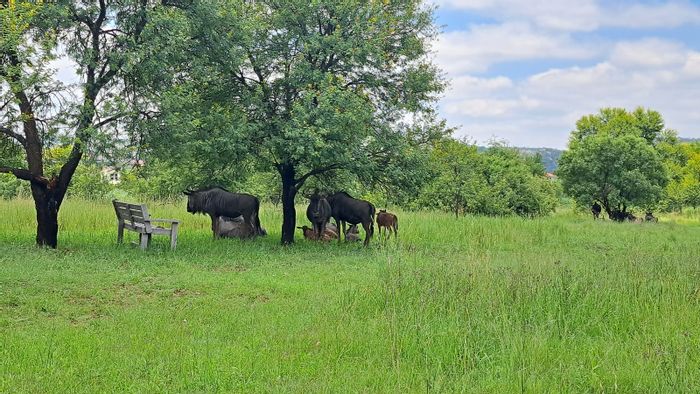 Vacant Land Residential For Sale in La Camargue Estate – 1,351sqm with wildlife sanctuary.