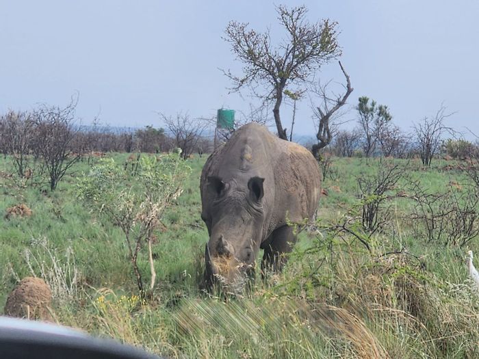 For Sale: 21 ha Farm in Dinokeng Game Reserve with borehole and lookout point.