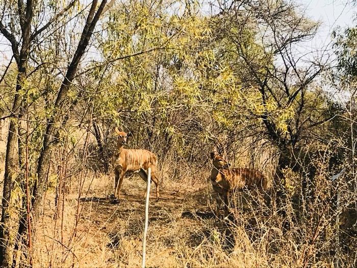 Vacant Land Residential For Sale in La Camargue Estate with parkland and clubhouse amenities.