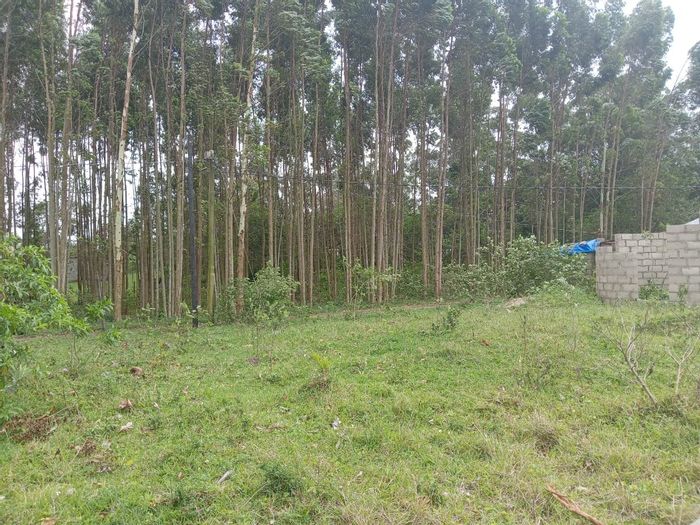 Vacant Land Residential For Sale in Mzingazi with unfinished building, ideal for investment.