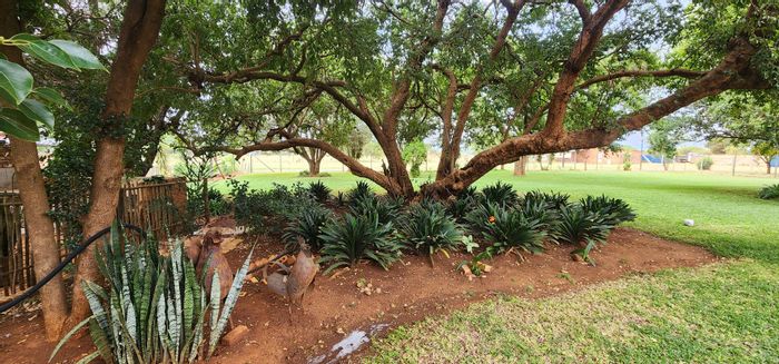 Versatile Rietfontein AH farm for sale: residential comfort, commercial potential, ample amenities.