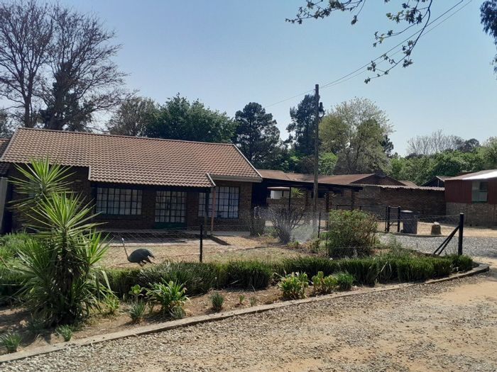 House to Rent in Glen Austin AH: 2 Bedrooms, fenced garden, pet-friendly.